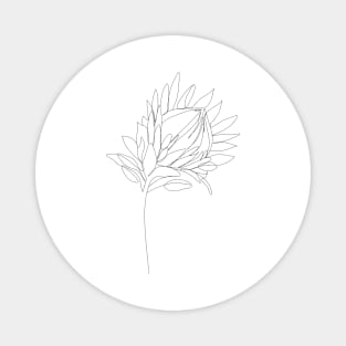 Protea line art. Line drawing flower Magnet